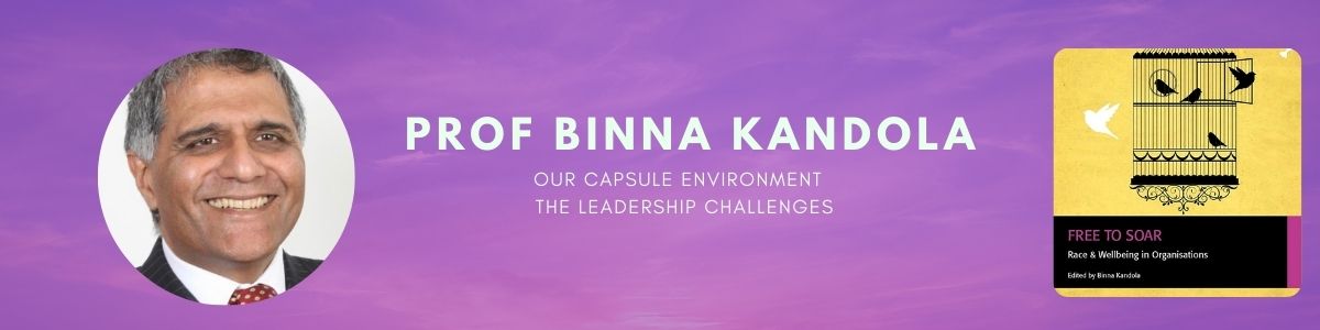 Prof Binna Kandola -Our Capsule environment